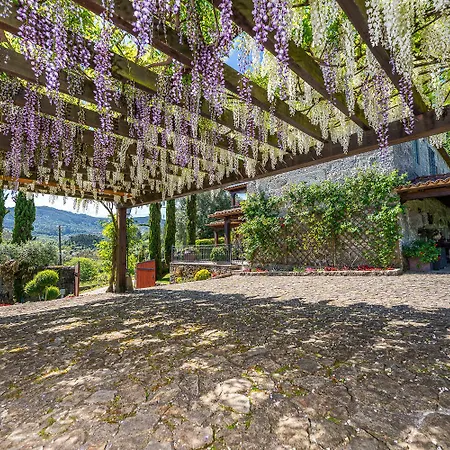 Magnolia Sublime - Casa Da Bragunda Holiday home