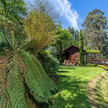 Magnolia Sublime - Casa Da Bragunda * Ponte de Lima