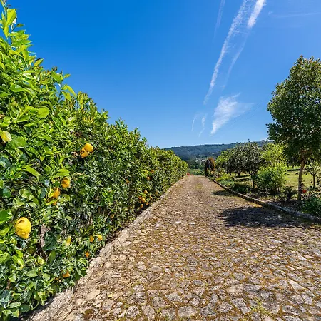 Magnolia Sublime - Casa Da Bragunda Ponte de Lima