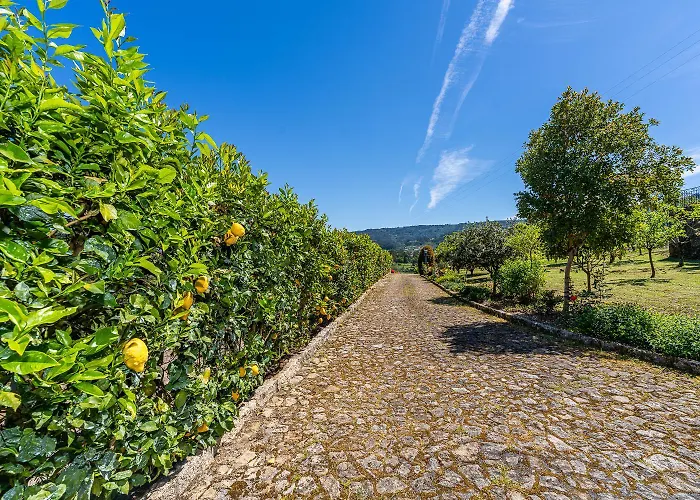 Magnolia Sublime - Casa Da Bragunda 蓬德利马